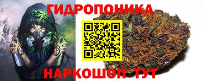 трава Донецк